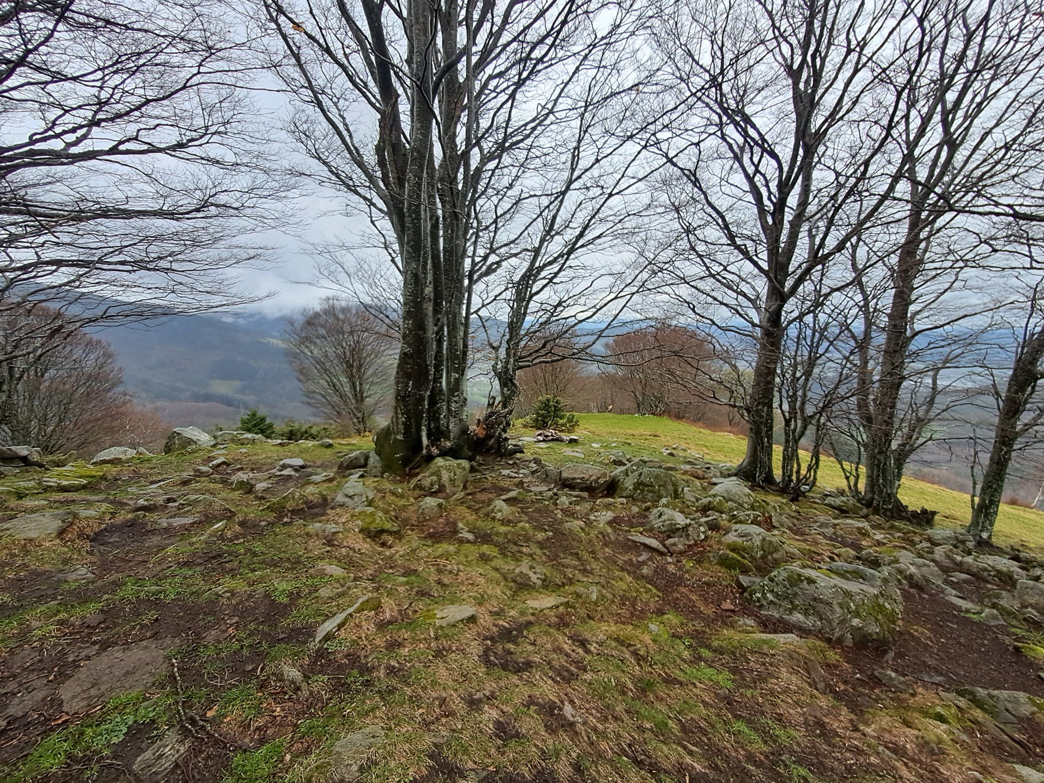 20230401150514 150514